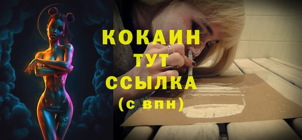 ECSTASY Белокуриха