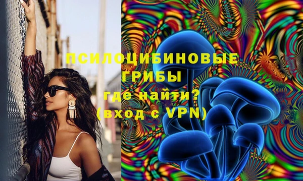гидропоника Михайлов